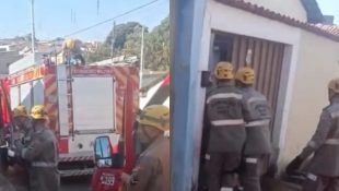 Idosa fica gravemente ferida após ataque de pitbull em Anápolis