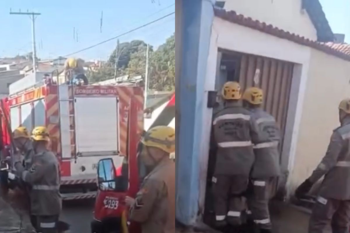 Idosa fica gravemente ferida após ataque de pitbull em Anápolis