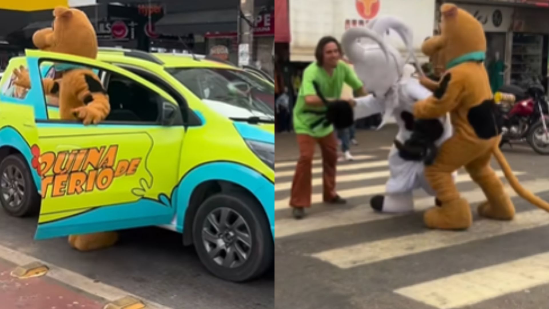 Scooby-Doo e Salsicha foram flagrados "salvando" Goiânia