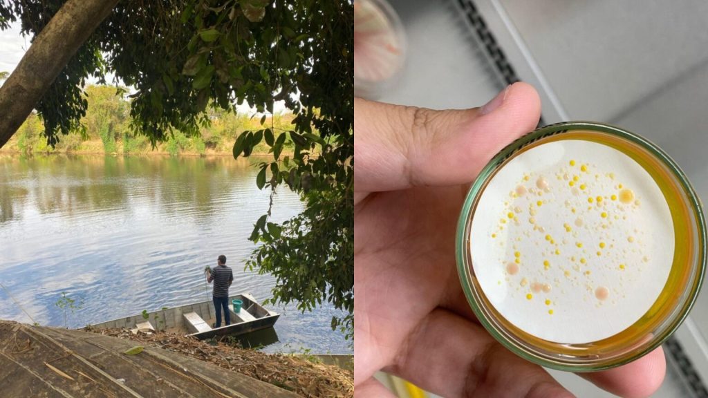 Estudo feito por aluno da UEG identificou a presença de superbactérias em rios do Cerrado.