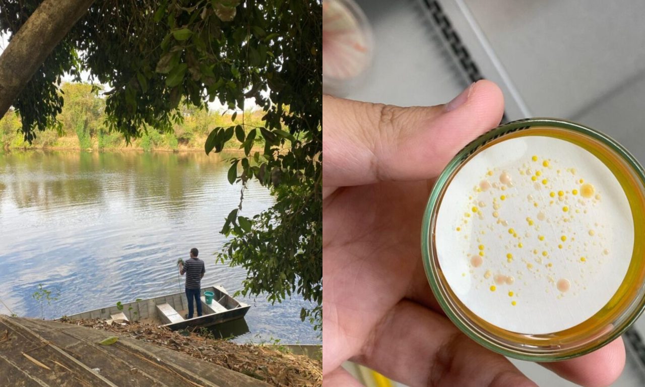 Estudo feito por aluno da UEG identificou a presença de superbactérias em rios do Cerrado.