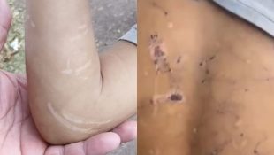 Crianças que estavam sendo espancadas e torturadas pelo pai são regatadas pela PM e Conselho Tutelar em Goiânia