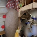 Pessoas morreram após vodcas serem adulteradas com metanol.
