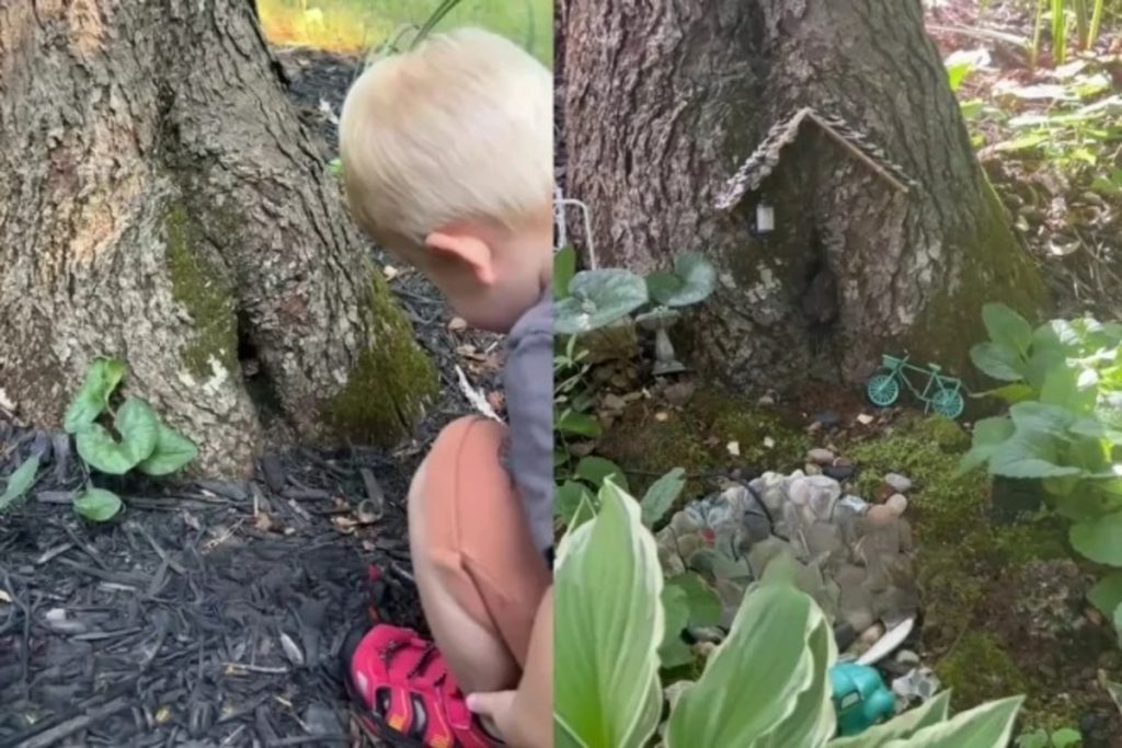 Mãe descobre amizade de menino com animal que vivia dentro de árvore e juntos criam a casa perfeita para o amigo