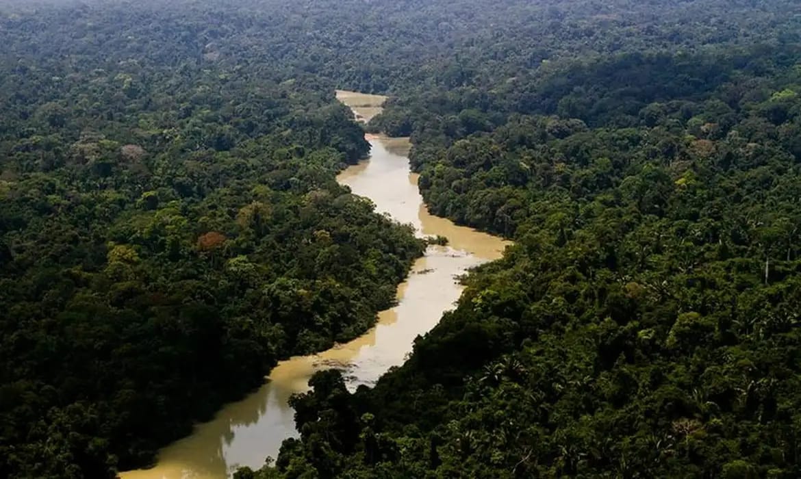 Animal com mais de 8 metros é encontrado na floresta por pesquisadores