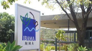 Ibama