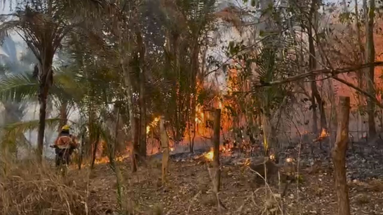 Incêndio na Chapada dos Veadeiros já destruiu vegetação equivalente a 29% do território de Anápolis