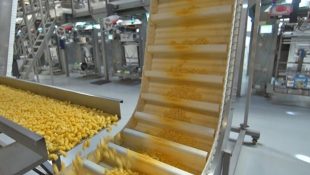 Desafiando gigantes do setor, marca brasileira de salgadinhos fatura R$ 130 milhões