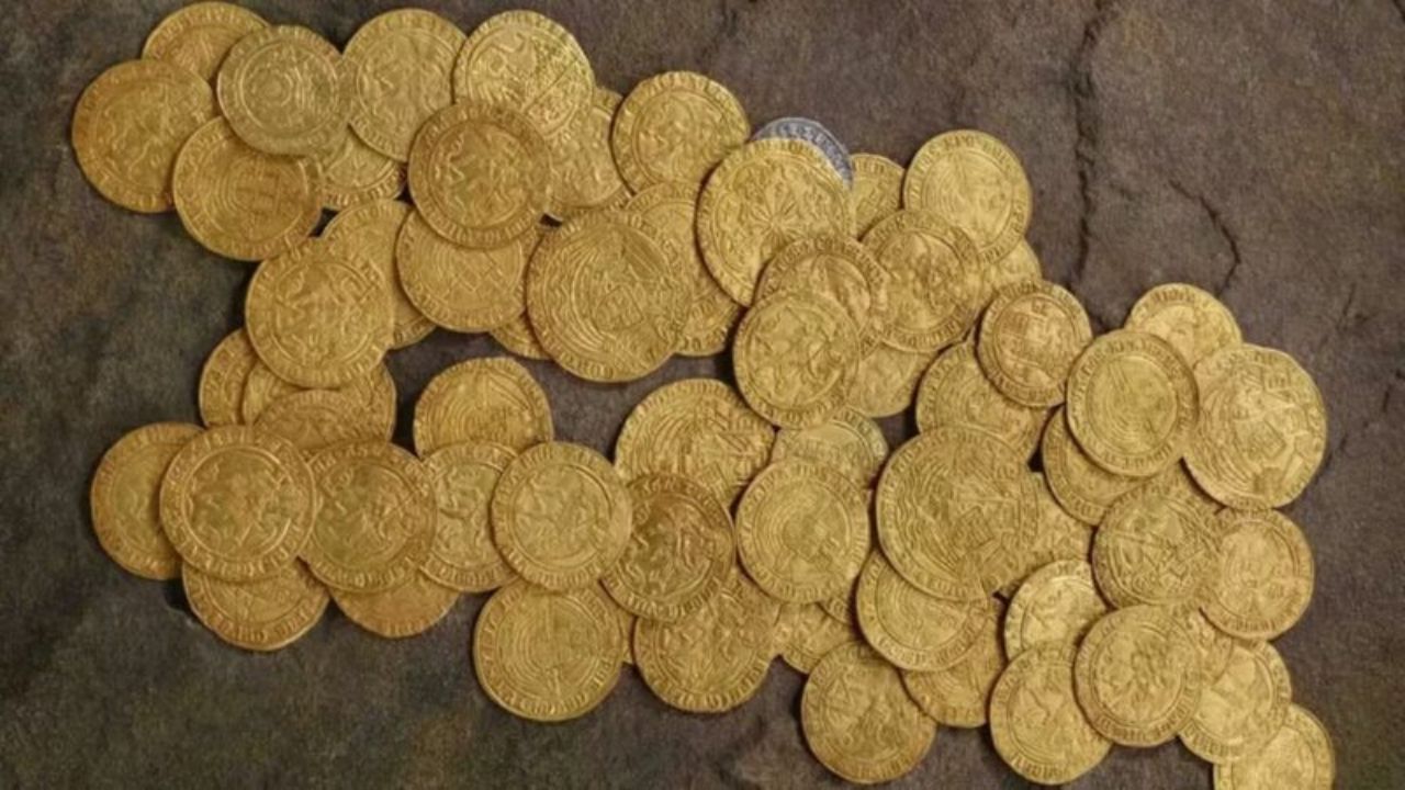 Tesouro de R$ 1,6 milhão encontrado sem querer em quintal vai a leilão