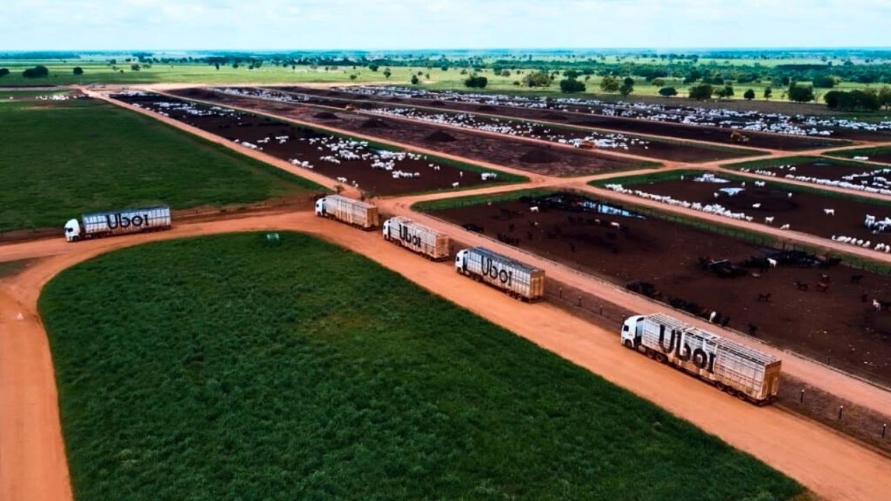 Gigante alimentícia fundada em Anápolis lança plataforma digital para transporte de gado em tempo real