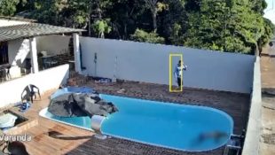 Câmera registrou momento em que mulher é encontrada sem vida em piscina de residência em Anápolis