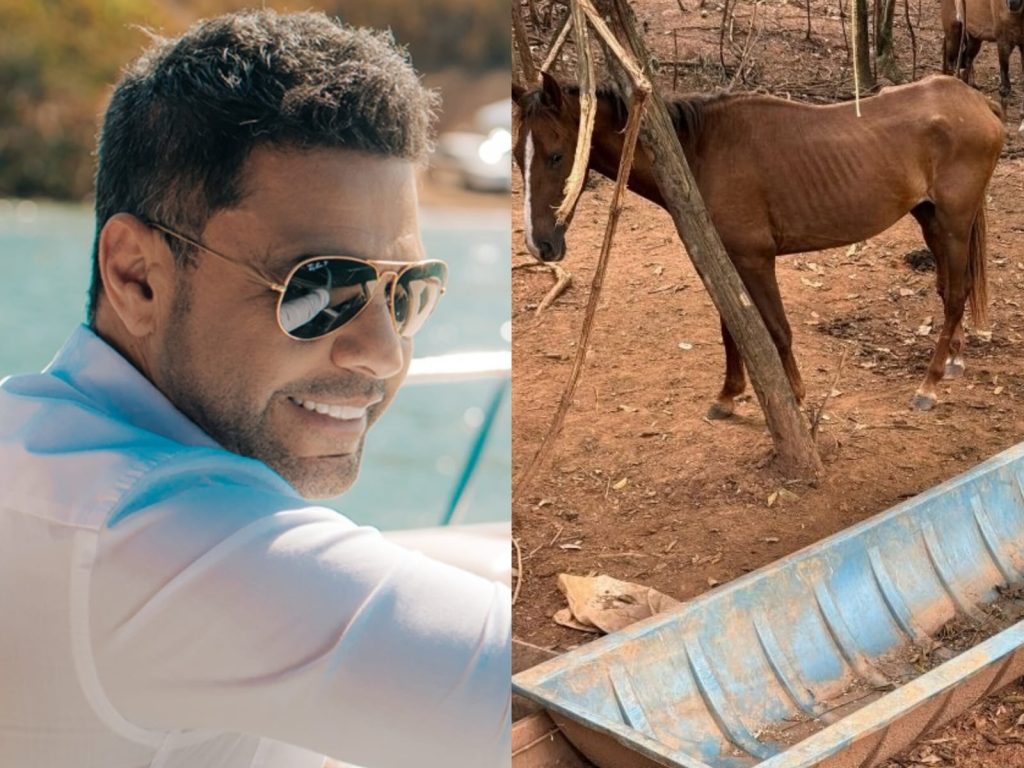 Cantor anunciou ainda em março a decisão de adotar os cavalos. (Foto: Divulgação/Reprodução)