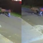 Agressões ao cavalo foram registradas por câmeras de segurança. (Foto: Reprodução)