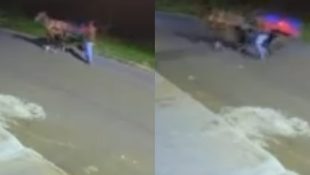Agressões ao cavalo foram registradas por câmeras de segurança. (Foto: Reprodução)