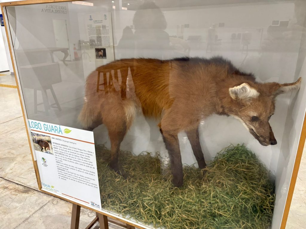 Exposição do Memorial do Cerrado chega à Câmara de Anápolis