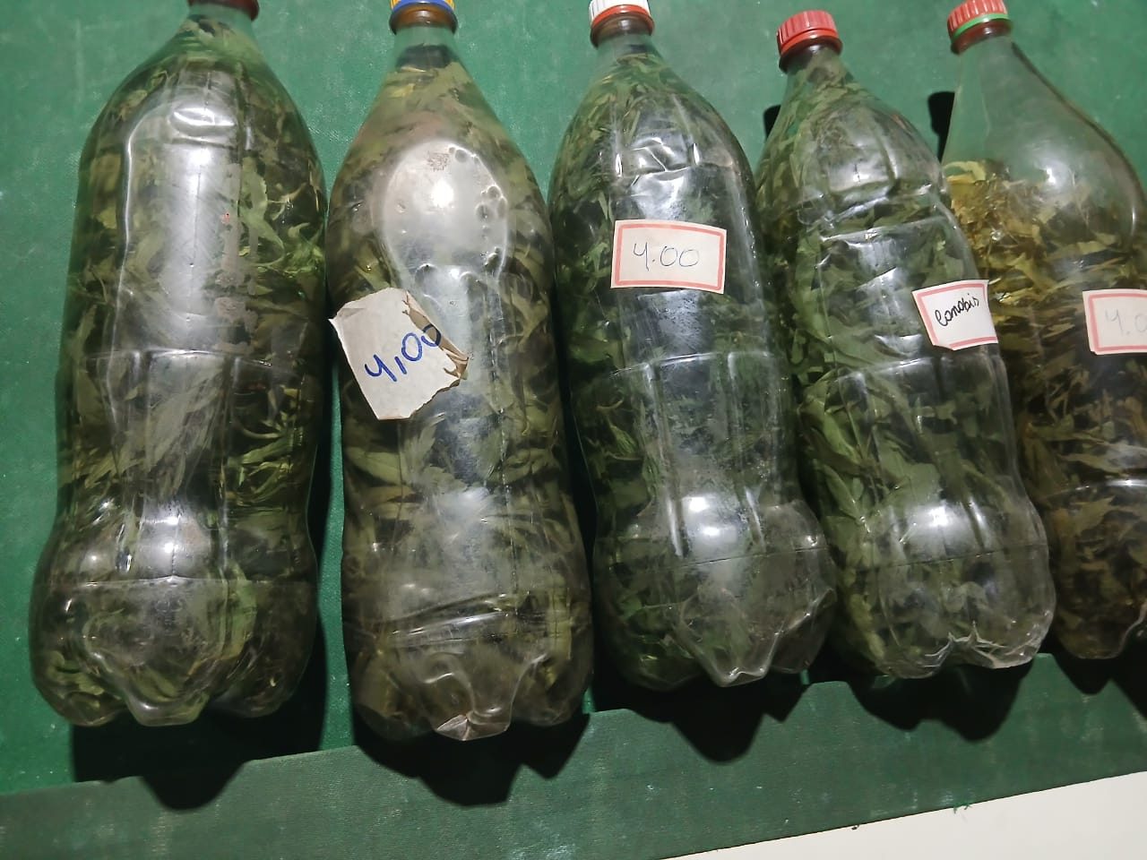 Bebida misturada com maconha foi descartada. (Foto: Divulgação)