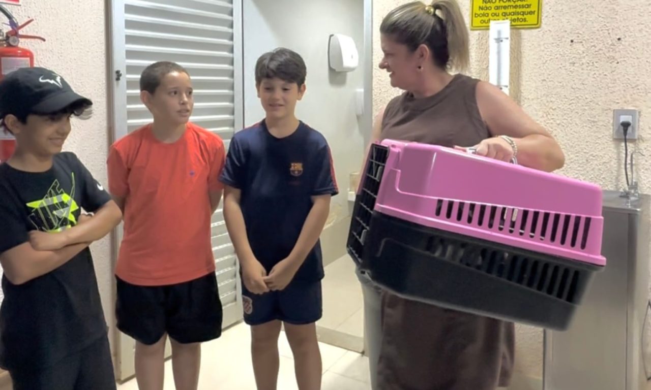 Quando o cuidado nasce cedo: o futuro da proteção animal em Anápolis