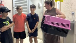 Quando o cuidado nasce cedo: o futuro da proteção animal em Anápolis