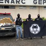 Ao total, desde a primeira fase, já foram apreendidos mais de 120 kg de entorpecentes e cumpridos dez mandados de prisão. (Foto: Divulgação)
