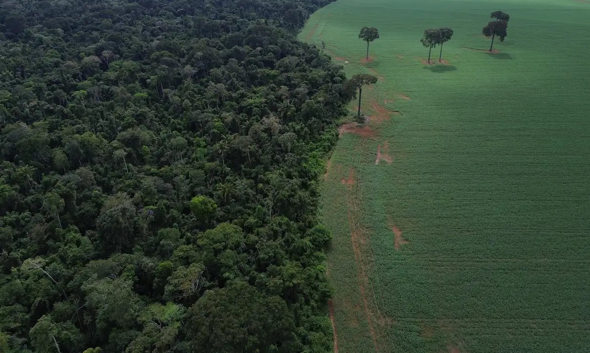Caravana social vai à COP30 denunciar megaprojetos do agronegócio