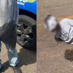Motociclista urinou na roupa após ser flagrado "dando o grau". (Foto: @reporteranapolis)