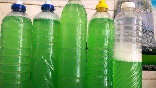 6 funções que o detergente tem fora da pia da cozinha que você provavelmente não sabia