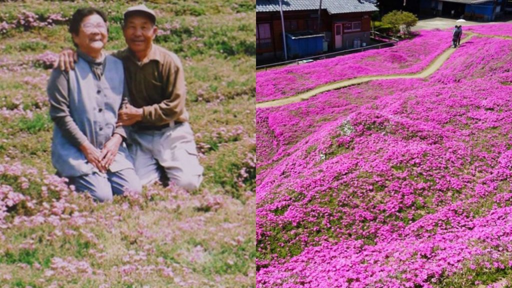 A história do marido que passou anos plantando flores para que sua esposa cega pudesse sentir o cheiro
