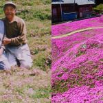 A história do marido que passou anos plantando flores para que sua esposa cega pudesse sentir o cheiro