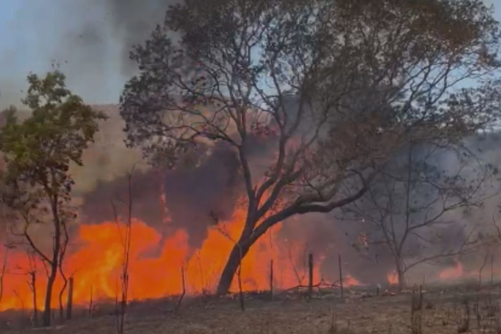 Chapada dos Veadeiros sofre com incêndio que já dura mais de dois dias e devastou 2 mil hectares