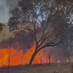 Chapada dos Veadeiros sofre com incêndio que já dura mais de dois dias e devastou 2 mil hectares