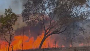 Chapada dos Veadeiros sofre com incêndio que já dura mais de dois dias e devastou 2 mil hectares