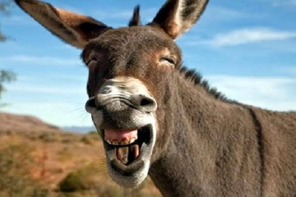 10 frases que são muito usadas no dia a dia, mas que a maioria das pessoas não sabe o que significam