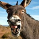 10 frases que são muito usadas no dia a dia, mas que a maioria das pessoas não sabe o que significam