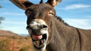 10 frases que são muito usadas no dia a dia, mas que a maioria das pessoas não sabe o que significam
