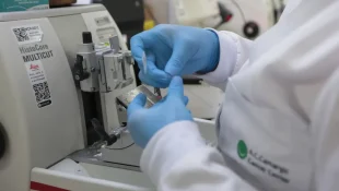 Cura de câncer de próstata pode chegar a até 98%