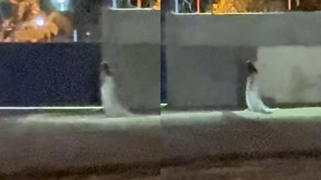 Suposta noiva foi vista em frente a cemitério de Uruaçu, durante a noite.