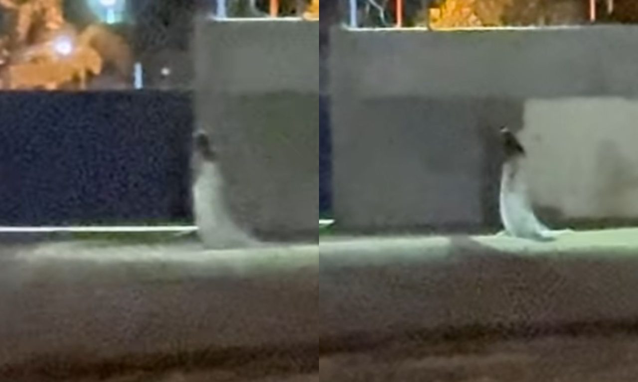 Suposta noiva foi vista em frente a cemitério de Uruaçu, durante a noite.