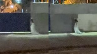 Suposta noiva foi vista em frente a cemitério de Uruaçu, durante a noite.