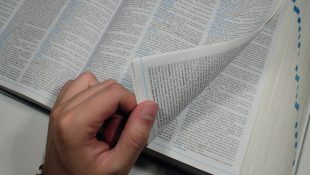 A palavra no plural que até professores confundem e que muita gente usa do jeito errado há anos