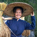 Arroz que cresce com a água do mar pode salvar 200 milhões de pessoas da fome