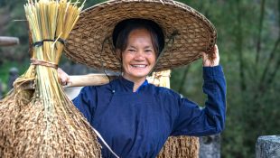 Arroz que cresce com a água do mar pode salvar 200 milhões de pessoas da fome