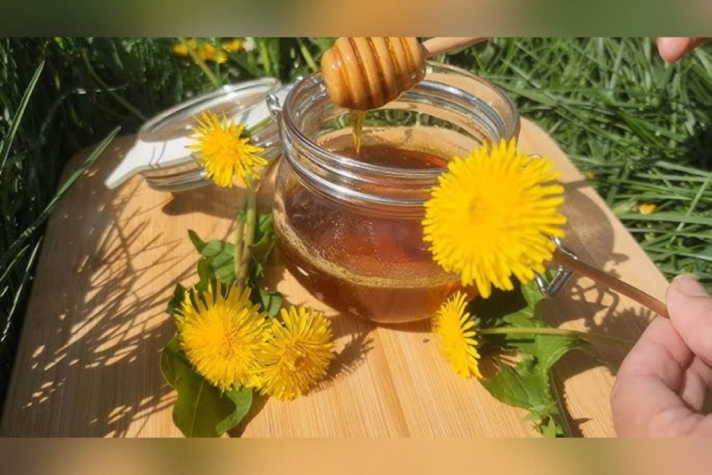 A planta que faz “faxina do corpo”: ajuda o fígado e reduz o inchaço, segundo especialistas