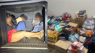 Grávida é uma das presas por integrar quadrilha especializada em furtar supermercados de Goiânia