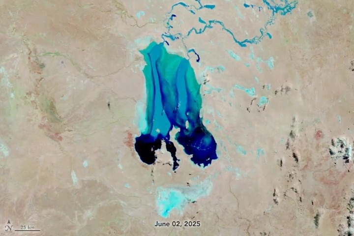 Fenômeno raro devolve vida a uma das regiões mais áridas do mundo e atrai turistas de vários países
