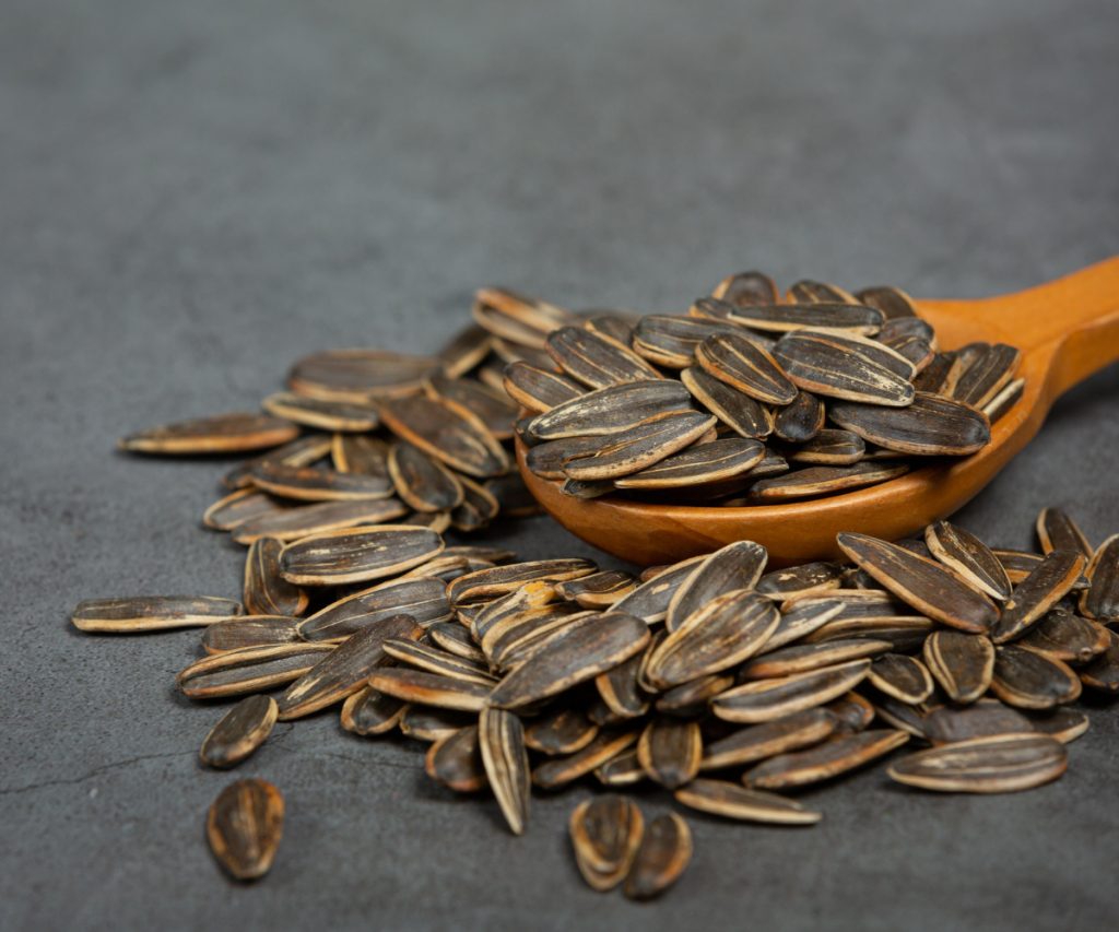 Carne vegana com farinha de semente de girassol