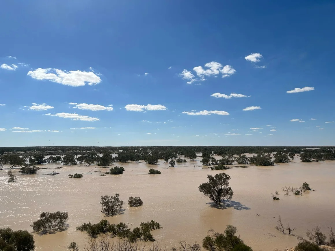 Fenômeno raro devolve vida a uma das regiões mais áridas do mundo e atrai turistas de vários países