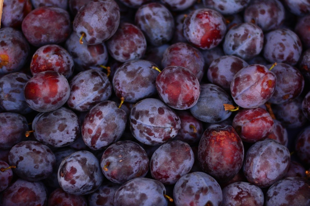 Rica em vitaminas, esta fruta melhora a digestão, protege a visão e ajuda nos cuidados com a pele