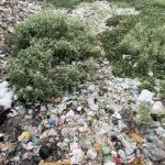 Captura de Tela 2025-11-13 às 03.21.05