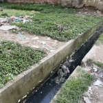 Captura de Tela 2025-11-13 às 03.21.16