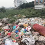 Captura de Tela 2025-11-13 às 03.21.45